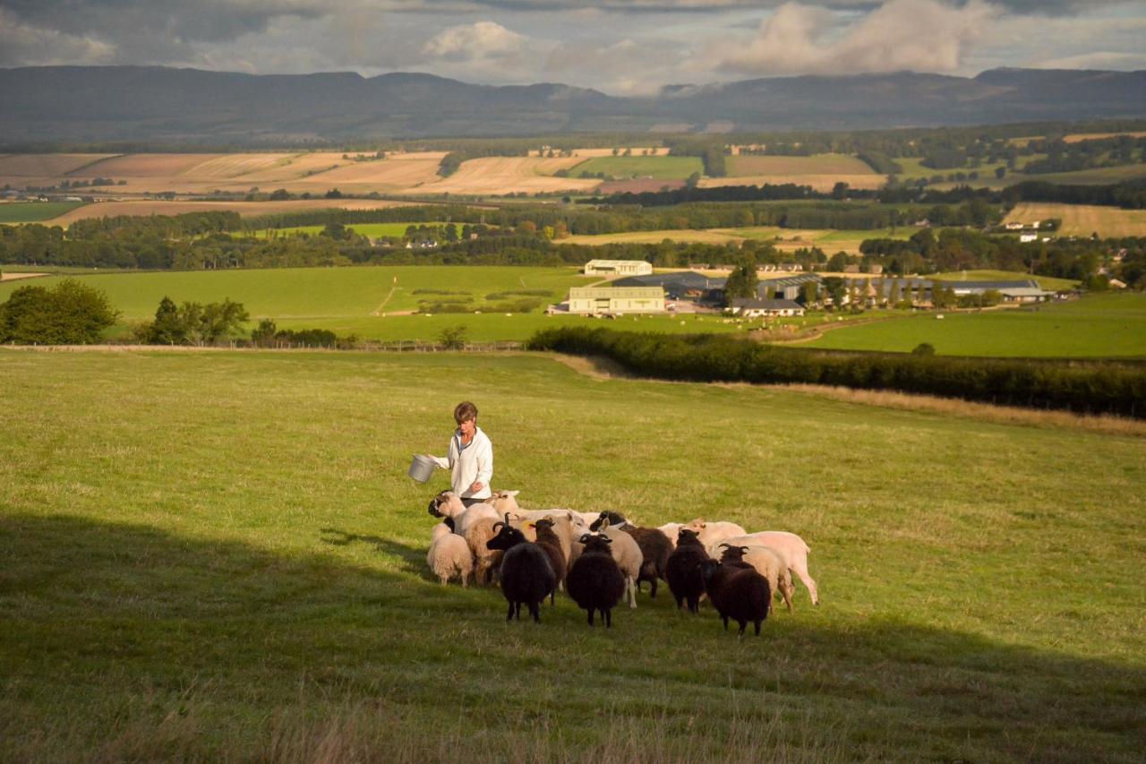Вилла The Steading At Pitmeadow Farm Даннинг Экстерьер фото