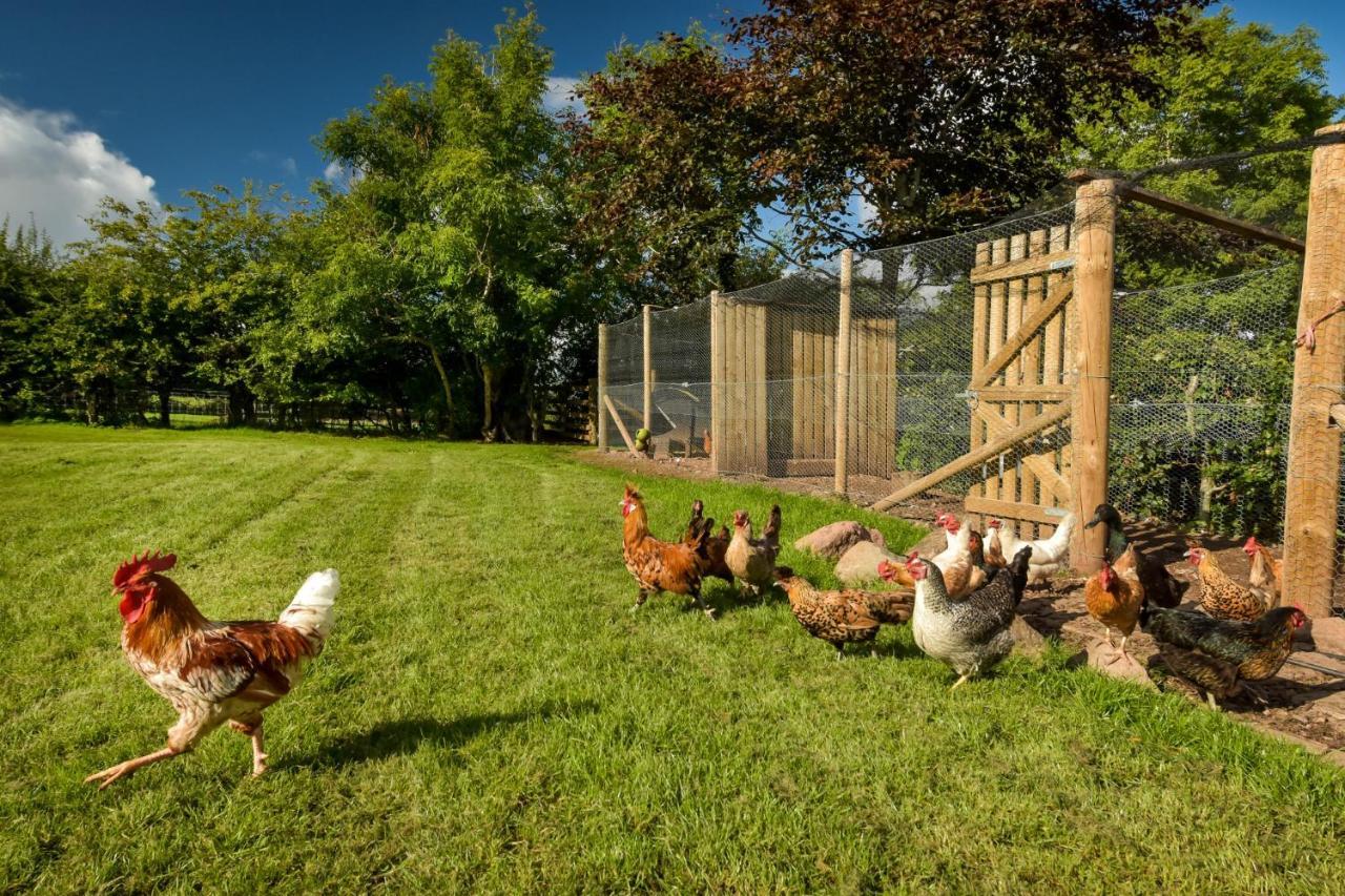 Вилла The Steading At Pitmeadow Farm Даннинг Экстерьер фото