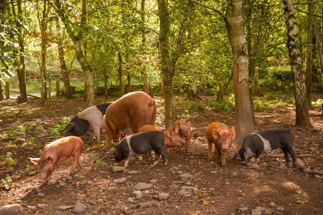 Вилла The Steading At Pitmeadow Farm Даннинг Экстерьер фото
