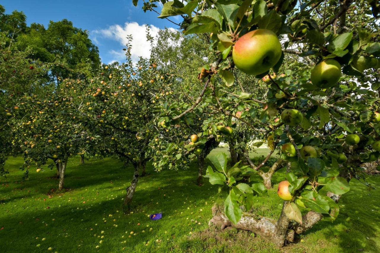Вилла The Steading At Pitmeadow Farm Даннинг Экстерьер фото